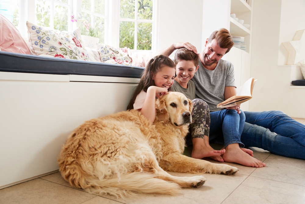 ธุรกิจด้าน Pet Parents สำหรับคนรักสัตว์ 